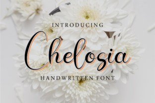 Chelosia Script Font for Romantic Brand Visuals
