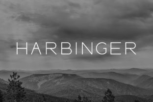 Harbinger: The Wide Sans Serif Font for Modern Editorial Design