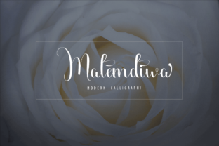 Malemdiwa: The Perfect Script Handwritten Font for Feminine Branding