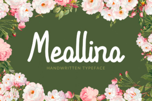 Meallina Handwritten Typeface for Creative Brands