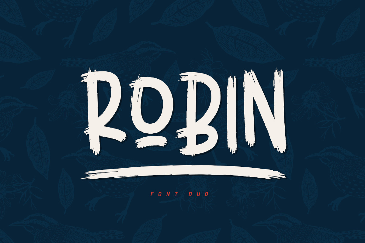 Robin Display Typeface for Modern Web Design