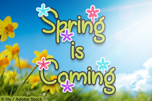 Spring is Coming Typeface for Warm Brand Identity Projects