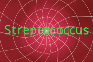 Streptococcus: A Playful Font for Modern Brand Identity