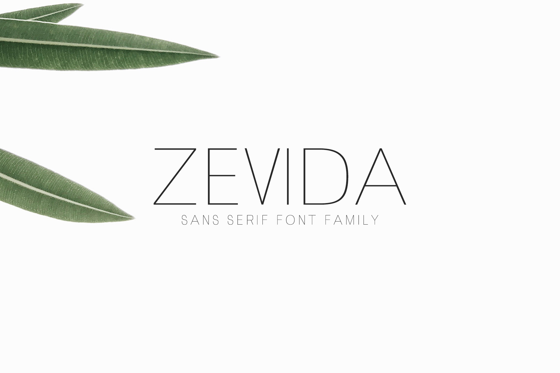 Zevida Typeface Review: A Clean Sans Serif for Modern Branding